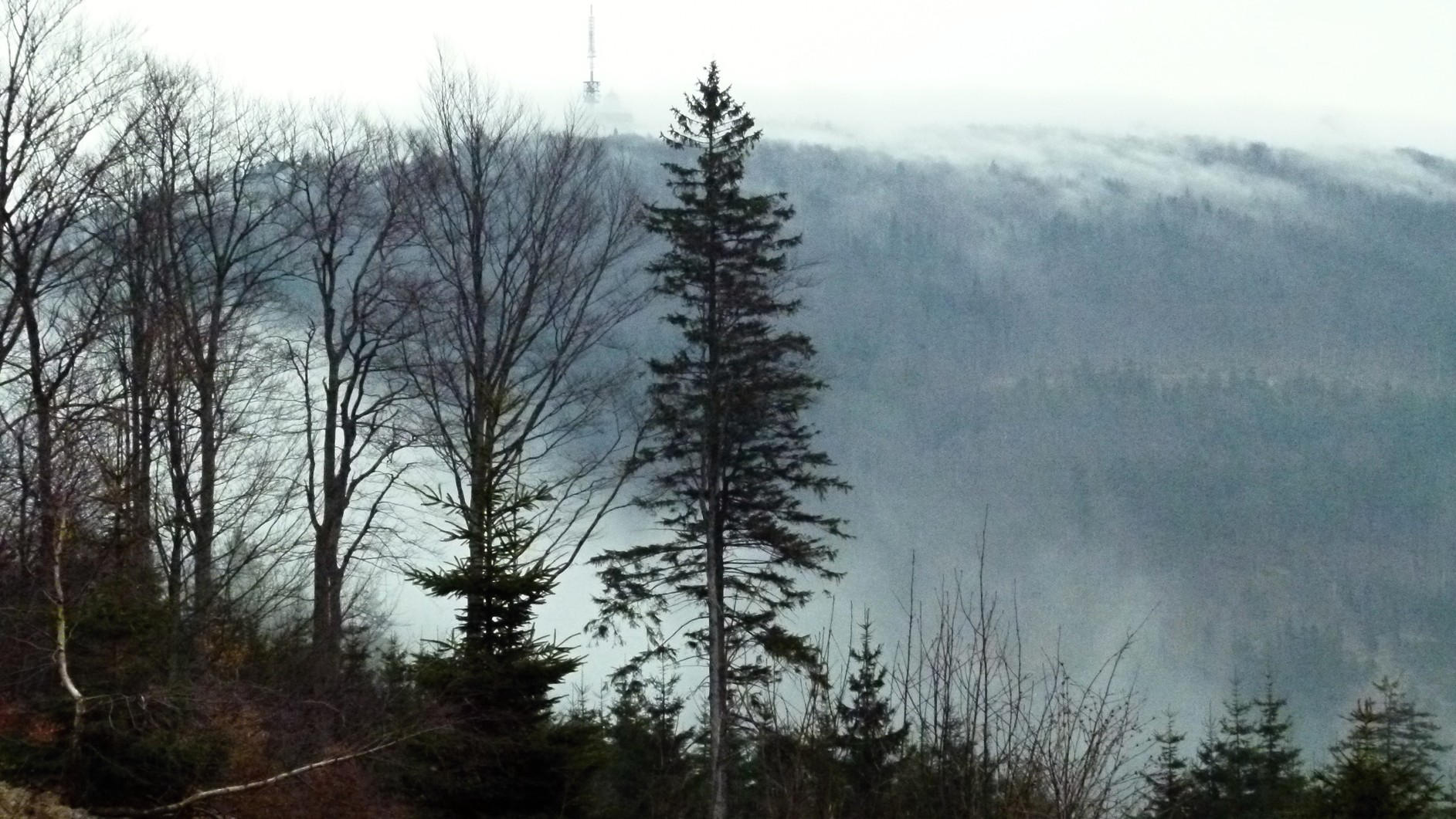 CAL 2012 vyprava do Alifbaje 4. 9.4. 11